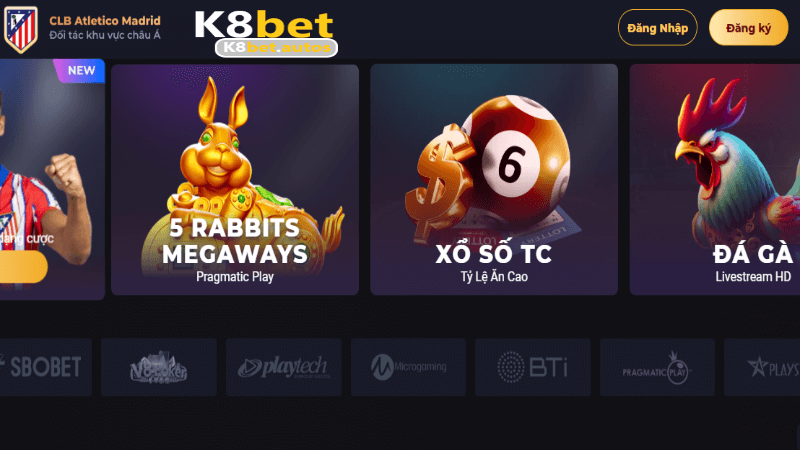 Những lưu ý khi đăng nhập k8bet